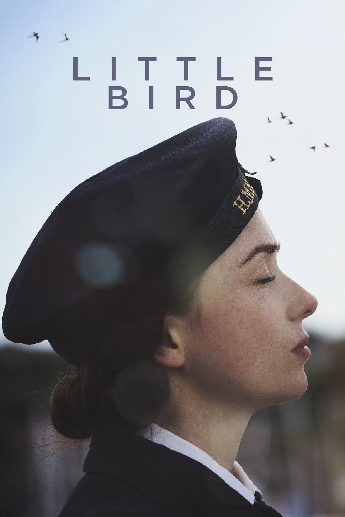 Постер Little Bird